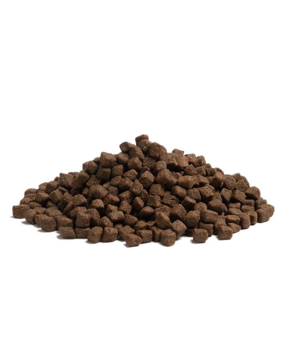 Best Pet Groomer in the East